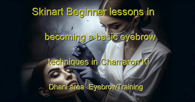 Skinart Beginner lessons in becoming a basic eyebrow techniques in Chamaron Ki Dhani area | EyebrowTraining | EyebrowClasses | SkinartTraining-India
