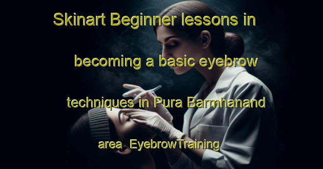 Skinart Beginner lessons in becoming a basic eyebrow techniques in Pura Barmhanand area | EyebrowTraining | EyebrowClasses | SkinartTraining-India