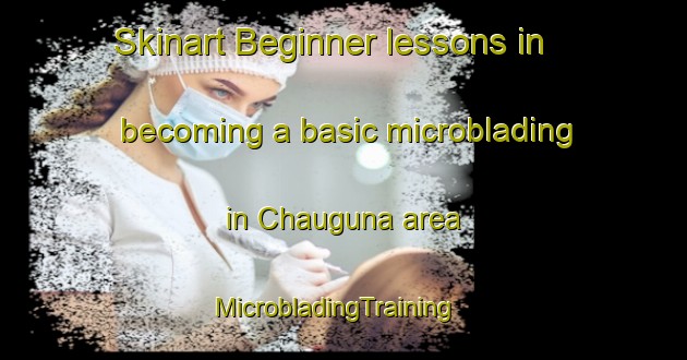 Skinart Beginner lessons in becoming a basic microblading in Chauguna area | MicrobladingTraining | MicrobladingClasses | SkinartTraining-India