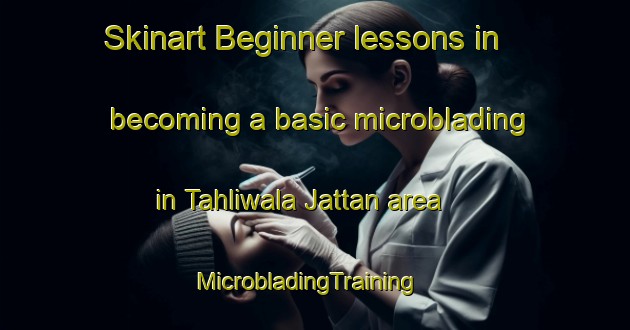 Skinart Beginner lessons in becoming a basic microblading in Tahliwala Jattan area | MicrobladingTraining | MicrobladingClasses | SkinartTraining-India