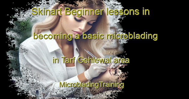 Skinart Beginner lessons in becoming a basic microblading in Tarf Gehlewal area | MicrobladingTraining | MicrobladingClasses | SkinartTraining-India