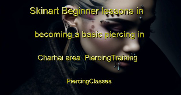 Skinart Beginner lessons in becoming a basic piercing in Charhai area | PiercingTraining | PiercingClasses | SkinartTraining-India