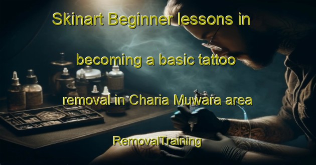 Skinart Beginner lessons in becoming a basic tattoo removal in Charia Muwara area | RemovalTraining | RemovalClasses | SkinartTraining-India