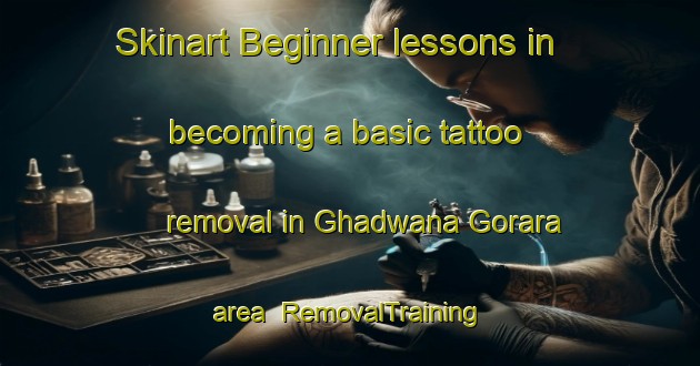 Skinart Beginner lessons in becoming a basic tattoo removal in Ghadwana Gorara area | RemovalTraining | RemovalClasses | SkinartTraining-India
