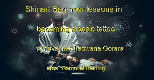 Skinart Beginner lessons in becoming a basic tattoo removal in Ghadwana Gorara area | RemovalTraining | RemovalClasses | SkinartTraining-India