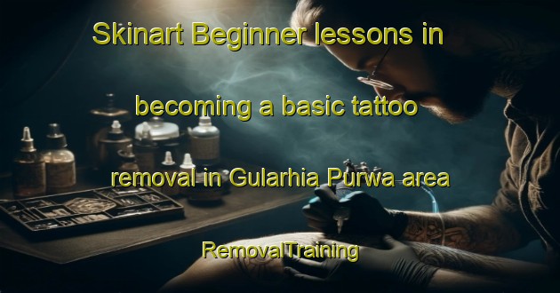 Skinart Beginner lessons in becoming a basic tattoo removal in Gularhia Purwa area | RemovalTraining | RemovalClasses | SkinartTraining-India