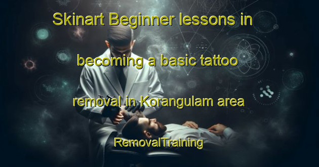 Skinart Beginner lessons in becoming a basic tattoo removal in Korangulam area | RemovalTraining | RemovalClasses | SkinartTraining-India