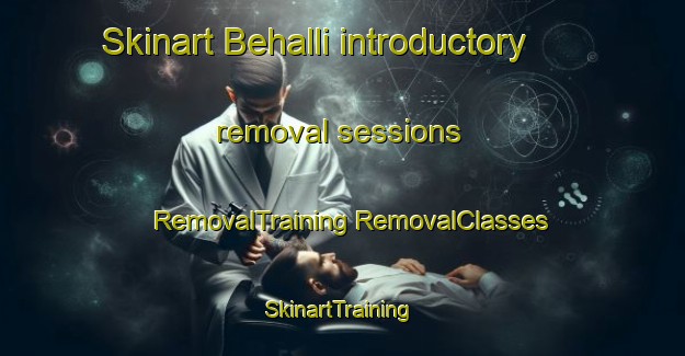 Skinart Behalli introductory removal sessions | #RemovalTraining #RemovalClasses #SkinartTraining-India