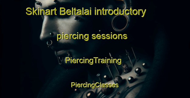 Skinart Beltalai introductory piercing sessions | #PiercingTraining #PiercingClasses #SkinartTraining-India