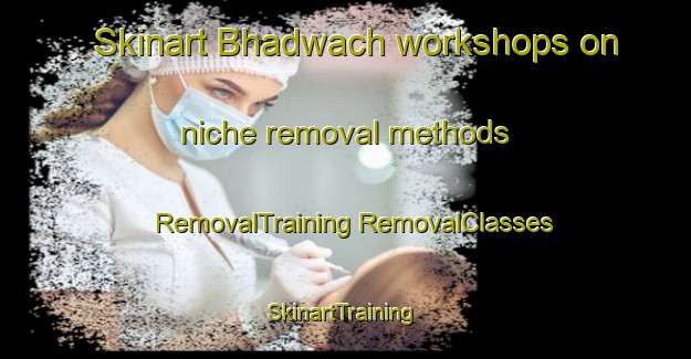 Skinart Bhadwach workshops on niche removal methods | #RemovalTraining #RemovalClasses #SkinartTraining-India