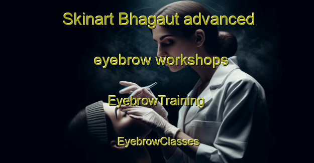 Skinart Bhagaut advanced eyebrow workshops | EyebrowTraining | EyebrowClasses | SkinartTraining-India