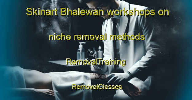 Skinart Bhalewan workshops on niche removal methods | RemovalTraining | RemovalClasses | SkinartTraining-India