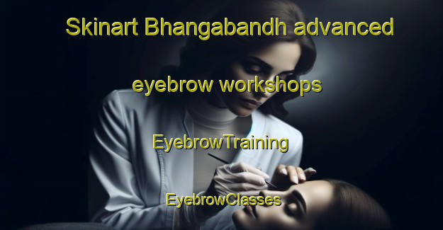 Skinart Bhangabandh advanced eyebrow workshops | EyebrowTraining | EyebrowClasses | SkinartTraining-India