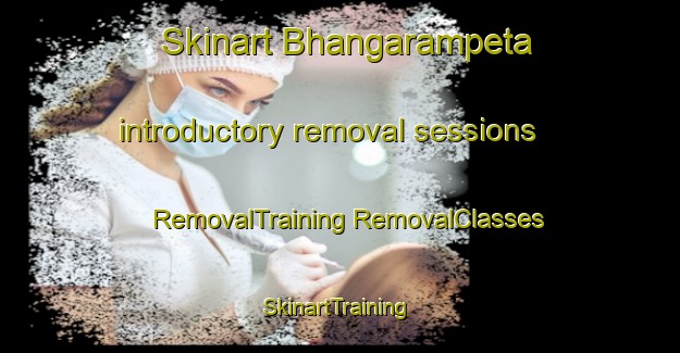 Skinart Bhangarampeta introductory removal sessions | #RemovalTraining #RemovalClasses #SkinartTraining-India