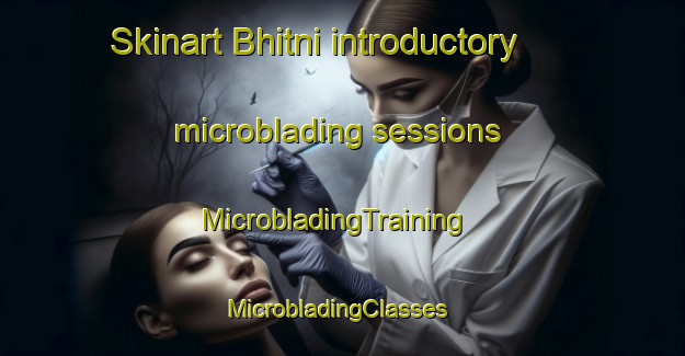 Skinart Bhitni introductory microblading sessions | MicrobladingTraining | MicrobladingClasses | SkinartTraining-India