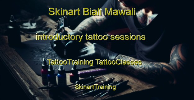 Skinart Biali Mawali introductory tattoo sessions | #TattooTraining #TattooClasses #SkinartTraining-India