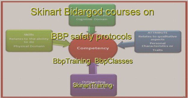 Skinart Bidargod courses on BBP safety protocols | BbpTraining | BbpClasses | SkinartTraining-India