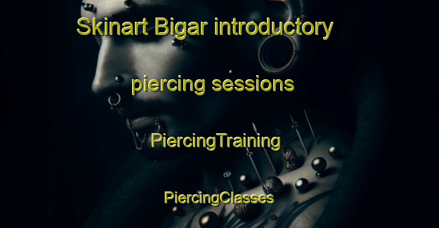 Skinart Bigar introductory piercing sessions | #PiercingTraining #PiercingClasses #SkinartTraining-India