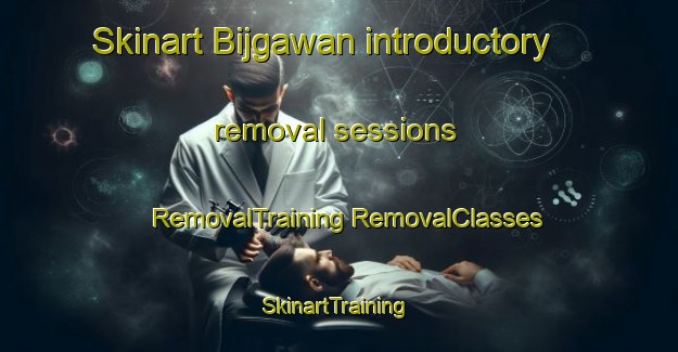 Skinart Bijgawan introductory removal sessions | #RemovalTraining #RemovalClasses #SkinartTraining-India