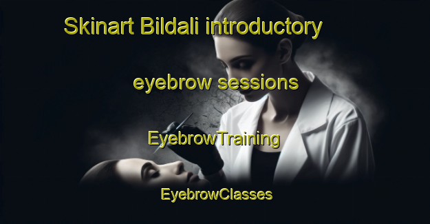 Skinart Bildali introductory eyebrow sessions | EyebrowTraining | EyebrowClasses | SkinartTraining-India