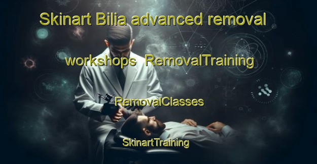 Skinart Bilia advanced removal workshops | RemovalTraining | RemovalClasses | SkinartTraining-India