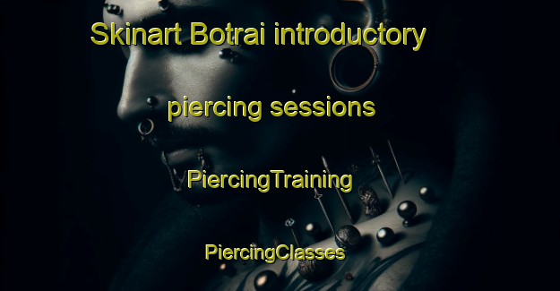 Skinart Botrai introductory piercing sessions | PiercingTraining | PiercingClasses | SkinartTraining-India