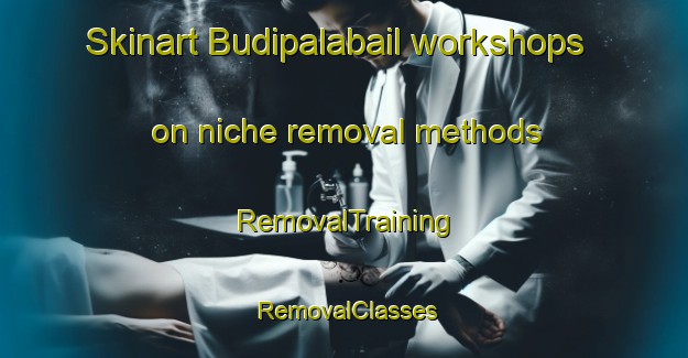 Skinart Budipalabail workshops on niche removal methods | RemovalTraining | RemovalClasses | SkinartTraining-India