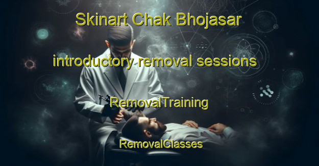 Skinart Chak Bhojasar introductory removal sessions | RemovalTraining | RemovalClasses | SkinartTraining-India