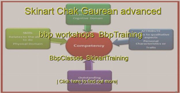 Skinart Chak Gaurean advanced bbp workshops | BbpTraining | BbpClasses | SkinartTraining-India