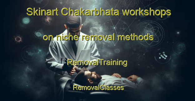 Skinart Chakarbhata workshops on niche removal methods | RemovalTraining | RemovalClasses | SkinartTraining-India