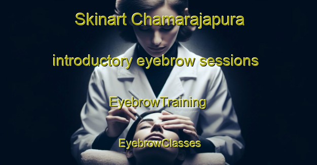 Skinart Chamarajapura introductory eyebrow sessions | EyebrowTraining | EyebrowClasses | SkinartTraining-India