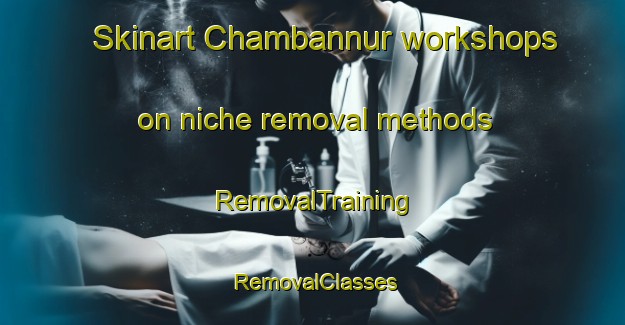 Skinart Chambannur workshops on niche removal methods | RemovalTraining | RemovalClasses | SkinartTraining-India