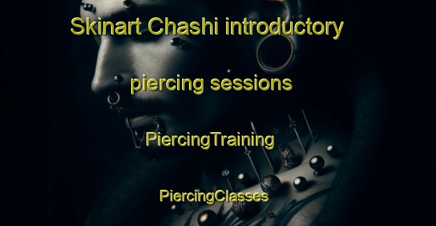 Skinart Chashi introductory piercing sessions | PiercingTraining | PiercingClasses | SkinartTraining-India