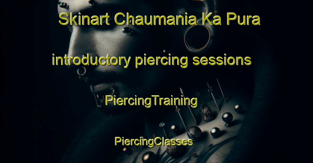 Skinart Chaumania Ka Pura introductory piercing sessions | PiercingTraining | PiercingClasses | SkinartTraining-India