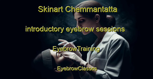 Skinart Chemmantatta introductory eyebrow sessions | EyebrowTraining | EyebrowClasses | SkinartTraining-India