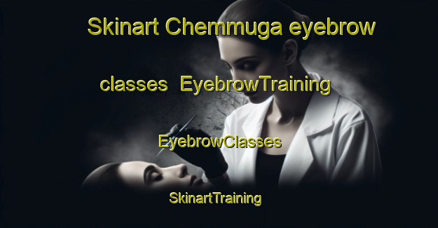 Skinart Chemmuga eyebrow classes | EyebrowTraining | EyebrowClasses | SkinartTraining-India