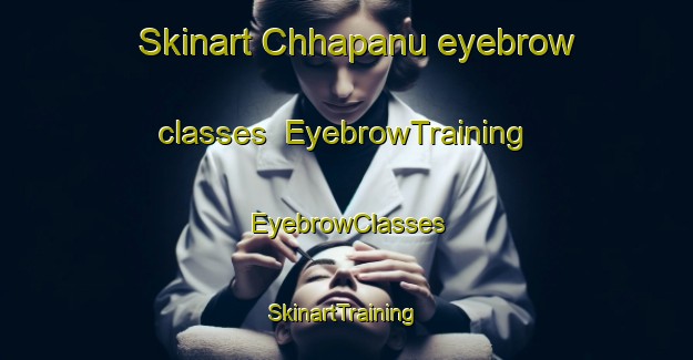 Skinart Chhapanu eyebrow classes | EyebrowTraining | EyebrowClasses | SkinartTraining-India