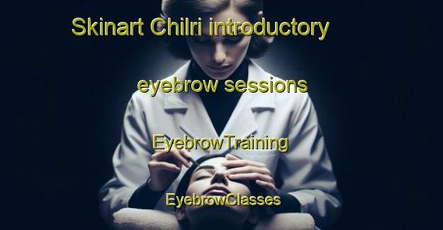 Skinart Chilri introductory eyebrow sessions | EyebrowTraining | EyebrowClasses | SkinartTraining-India