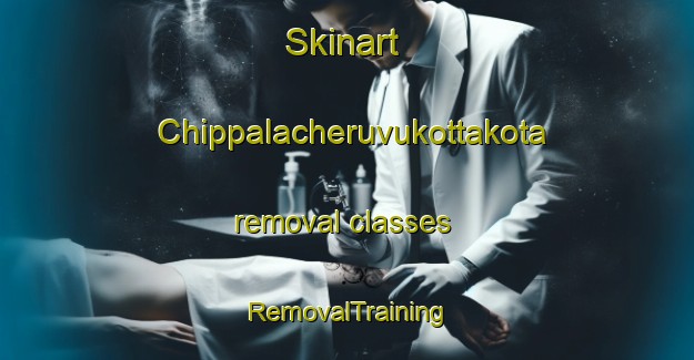 Skinart Chippalacheruvukottakota removal classes | RemovalTraining | RemovalClasses | SkinartTraining-India