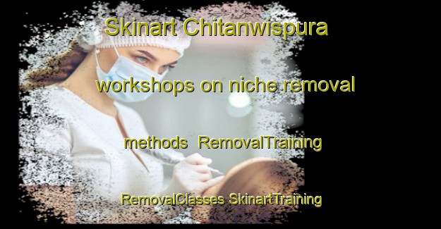 Skinart Chitanwispura workshops on niche removal methods | #RemovalTraining #RemovalClasses #SkinartTraining-India