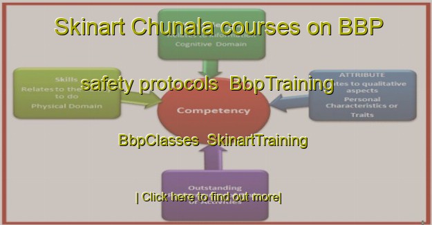 Skinart Chunala courses on BBP safety protocols | BbpTraining | BbpClasses | SkinartTraining-India