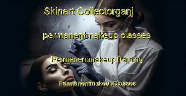 Skinart Collectorganj permanentmakeup classes | #PermanentmakeupTraining #PermanentmakeupClasses #SkinartTraining-India