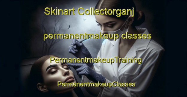 Skinart Collectorganj permanentmakeup classes | PermanentmakeupTraining | PermanentmakeupClasses | SkinartTraining-India