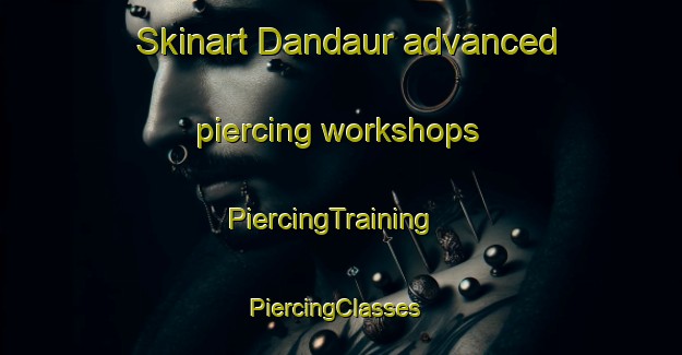 Skinart Dandaur advanced piercing workshops | PiercingTraining | PiercingClasses | SkinartTraining-India