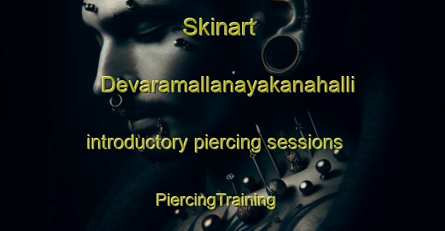 Skinart Devaramallanayakanahalli introductory piercing sessions | PiercingTraining | PiercingClasses | SkinartTraining-India