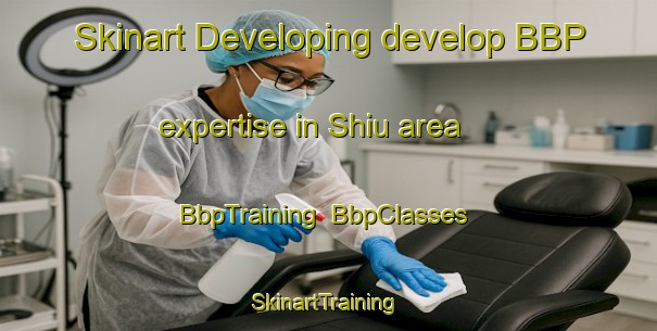 Skinart Developing develop BBP expertise in Shiu area | BbpTraining | BbpClasses | SkinartTraining-India