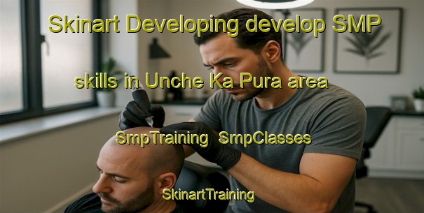 Skinart Developing develop SMP skills in Unche Ka Pura area | SmpTraining | SmpClasses | SkinartTraining-India