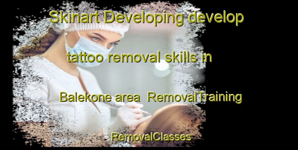 Skinart Developing develop tattoo removal skills in Balekone area | RemovalTraining | RemovalClasses | SkinartTraining-India