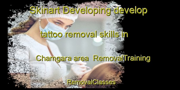 Skinart Developing develop tattoo removal skills in Chamgara area | RemovalTraining | RemovalClasses | SkinartTraining-India