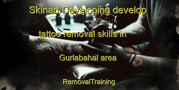 Skinart Developing develop tattoo removal skills in Gurlabahal area | RemovalTraining | RemovalClasses | SkinartTraining-India